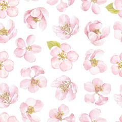 Seamless pattern with apple flowers on white. Floral watercolor background. Perfect for design templates, wallpaper, wrapping, fabric and textile.