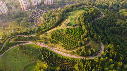Aerial top down view of unique outdoor park Taman Saujana Hijau Putrajaya surrounded by pine trees during pandemic covid 19