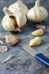 Heads and cloves of garlic (Allium sativum) peeled and crude on a bluish-grey stone with a small knife. Spicy cooking ingredient. Healthy food with vitamins. Vegetables and vegetarians.