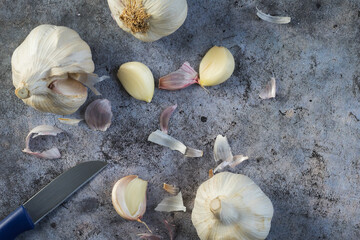 Top view of small knife and raw garlic (Allium sativum) heads and cloves on a bluish-grey stone. Spicy cooking ingredient. Healthy food with vitamins. Vegetables and vegetarians.