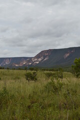 Mountain in the Savannah - Vertical