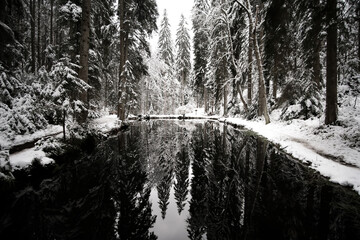 Reflections on a  dark lake in the middle of Black Forest