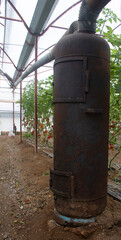 Fototapeta na wymiar wood burning old stove in a tomatoes greenhouse.