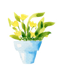 Watercolor illustration of a home flower in a blue pot