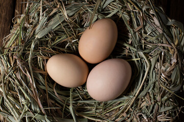 Easter basket with eggs. eggs in a straw nest