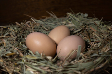 Easter eggs in a basket on a vintage wooden background. eggs in the nest with copy space