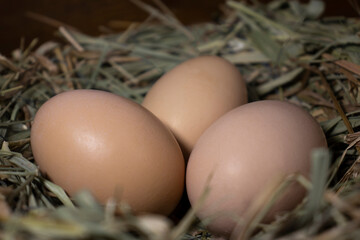 Easter basket with eggs. eggs in a straw nest