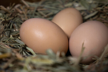 Easter basket with eggs. eggs in a straw nest