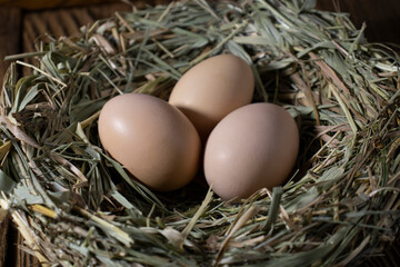 Easter basket with eggs. eggs in a straw nest