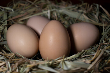 Easter basket with eggs. eggs in a straw nest
