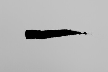 pieces of torn paper texture background with copy space for text