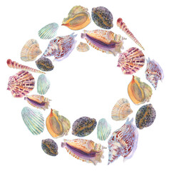 Watercolor frame sea shells on white background, Watercolor frame,  sea shells , white background watercolor wreath shells, clipart sea life