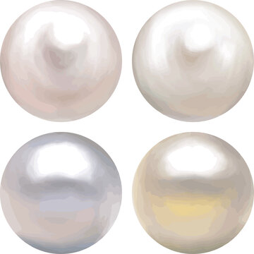 21 件の最適な アコヤ貝 画像 ストック写真 ベクター Adobe Stock