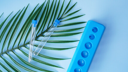 Test tubes on a blue background. Tropical leaf. Tropical disease research concept
