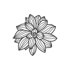 Lotus flower icon. Black line on a white background. Vector illustration.