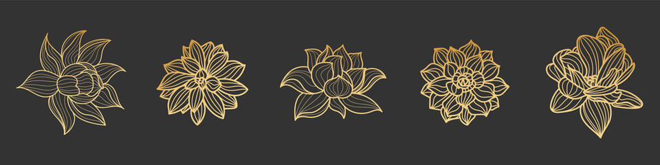 Set of gold lotus flower on a black background. Vector hand drawn illustration