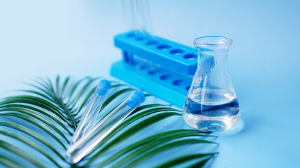 Test tubes and a chemical flask on a blue background. Tropical leaf. Tropical disease research...