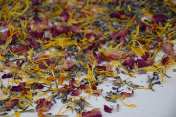 Dry colorful mixed herbs flowers on white wooden background with copy space