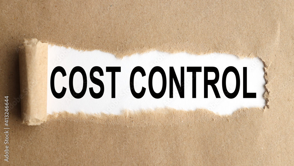 Poster cost control. text on white paper over torn paper background.. business concept image.