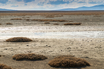 Lake dried because of the global warming. Seyfe Lake, in Turkey.