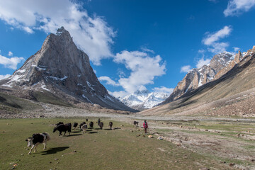 Zankar Valley north India