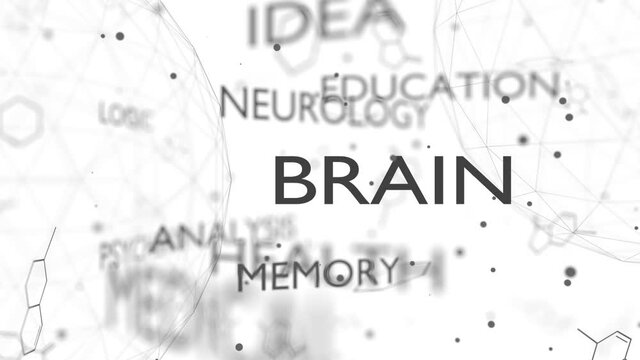 Brain word cloud collage. Biology and medicine concept