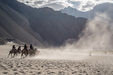 The Deset and Valley of Nubra India