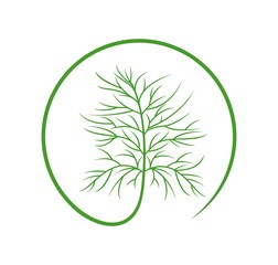 Dill logo. Isolated dill on white background