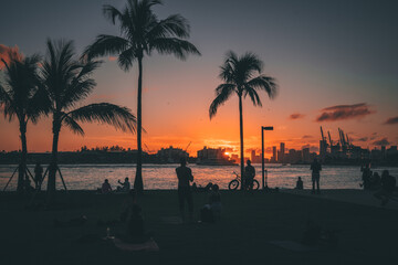 sunset at the beach people silhouettes palms panorama park bicycle man woman miami florida beautiful cute 