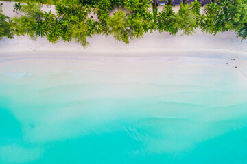 Aerial view white sand beach turquoise water with palm tree nature landscape