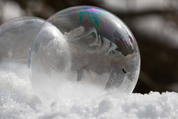 Frozen Soap Bubble on a cold winter morning