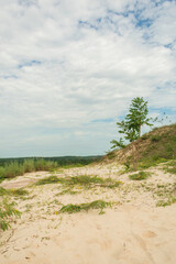 A view of Morro branco (White mountain) and lush caatinga forest in the rainy season (Oeiras, Piaui - Northeast Brazil)