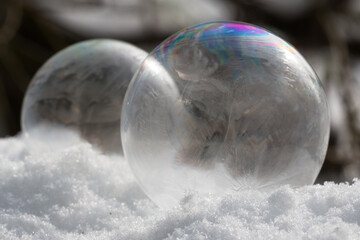 Frozen Soap Bubble on a cold winter morning