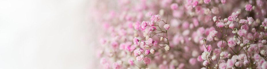 Nature of flower in garden using as cover page background natural flora wallpaper or template brochure landing page design