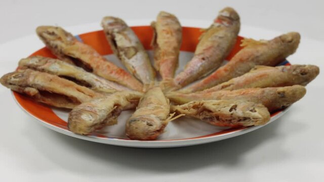 fresh fish small mullets cleaned and fried