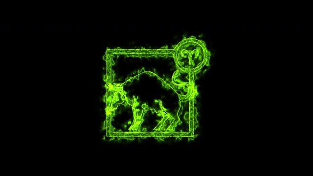 The Taurus zodiac symbol, horoscope sign lighting effect green neon glow. Royalty high-quality free stock of Taurus signs isolated on black background. Horoscope, astrology icons with simple style