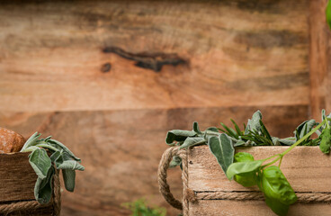 Close up view of basil and sage leaves against wood background food photography
