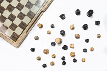 Chess wood in white background