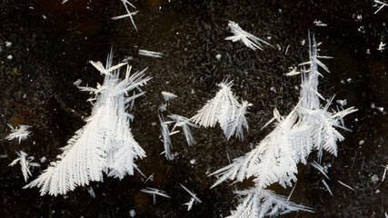 A wonderful formation of cold on the ice. Ice snowflakes, the unique beauty of winter.