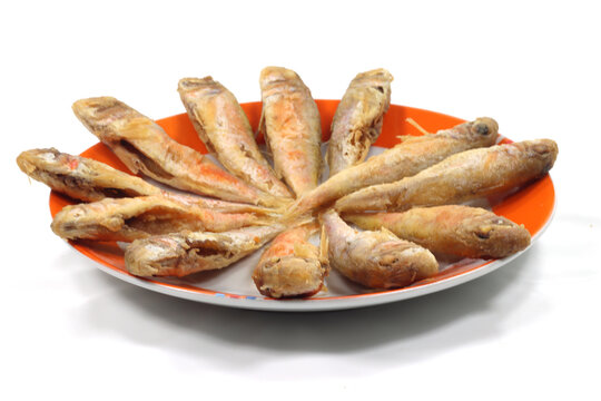 fresh fish small mullets cleaned and fried fresh fish small mullets cleaned and fried