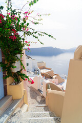 beautiful details of Santorini island, Greece