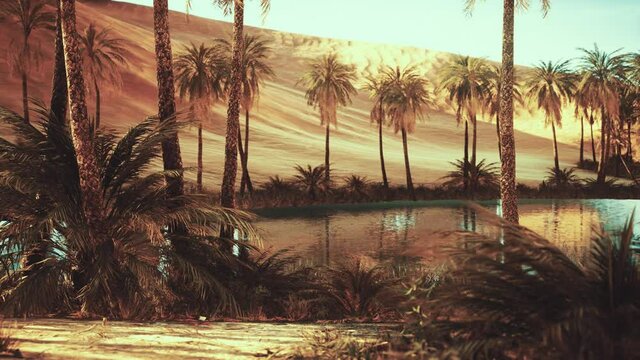 oasis with palm trees in desert