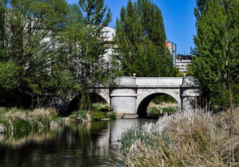 Fototapeta na wymiar Puente cruzando un río en primavera.
