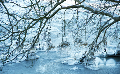 Winter an der Schlei