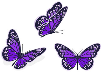 Dark purple butterfly, icon set. Vector illustration on a white background.