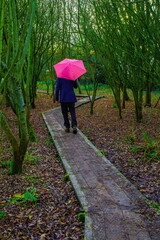 Man with umbrella walking on the wooden footpath in Seaton Wetlands, Devon