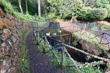 Portugal - Madeira - Queimadas - Wanderrastplatz © Uwalthie Pic Project