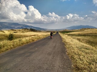 Obraz premium Golden grass cycling on an asphalted road