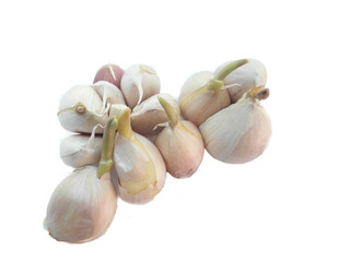 garlic isolated on white background