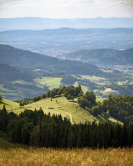 Obraz premium The view from the mountain Hinterwaldkopf in the Black Forest towards Freiburg and the vosges